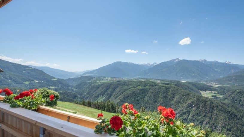 Forchnerhof Panorama - Dolomitenblick Apartment